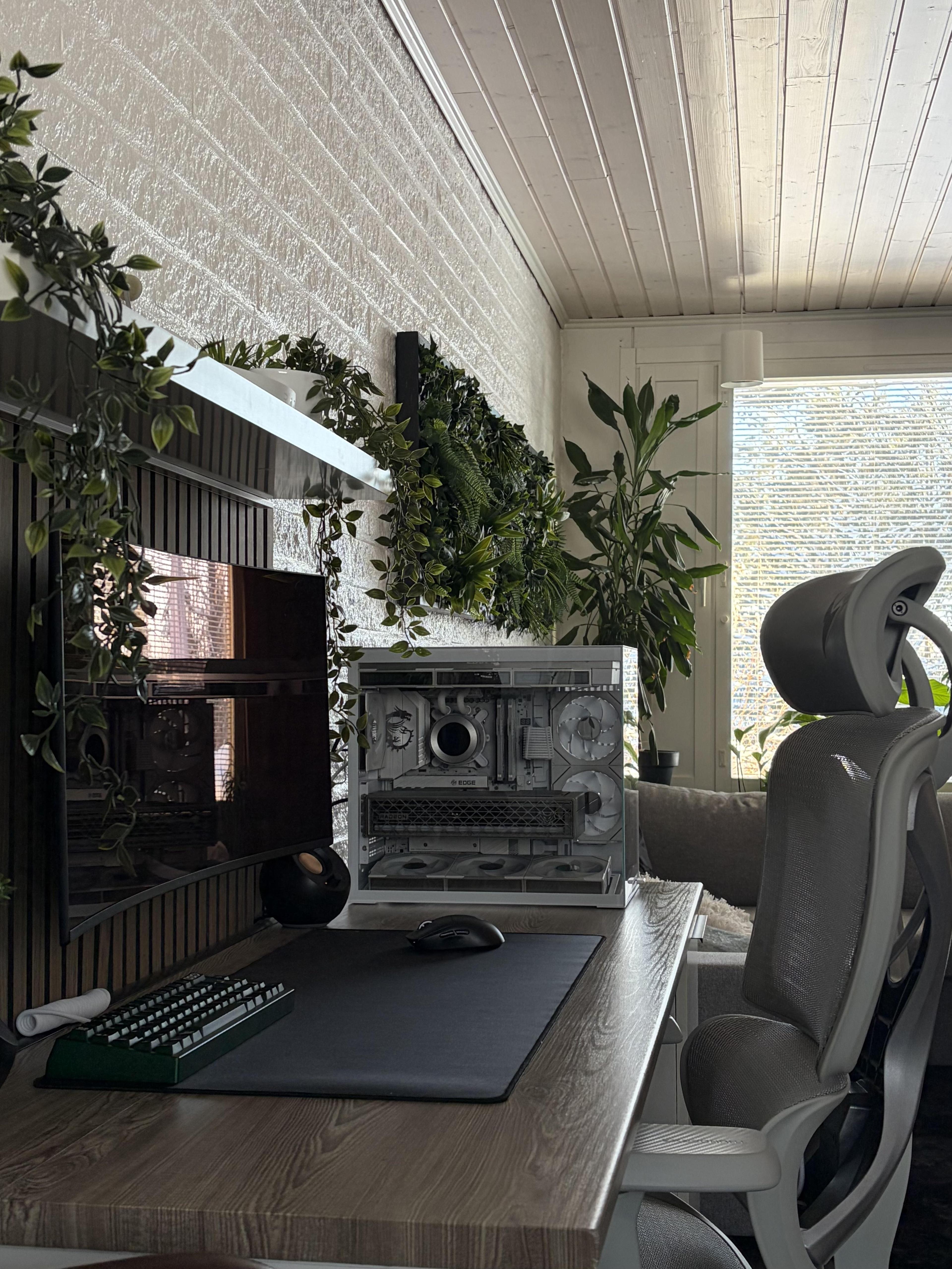 A corner desk of pale wood against a white brick wall under a planked ceiling, with trailing vines down a black slat panel behind a curved screen, a block of ferns on the wall, a white computer standing on the desk and a grey mesh chair.