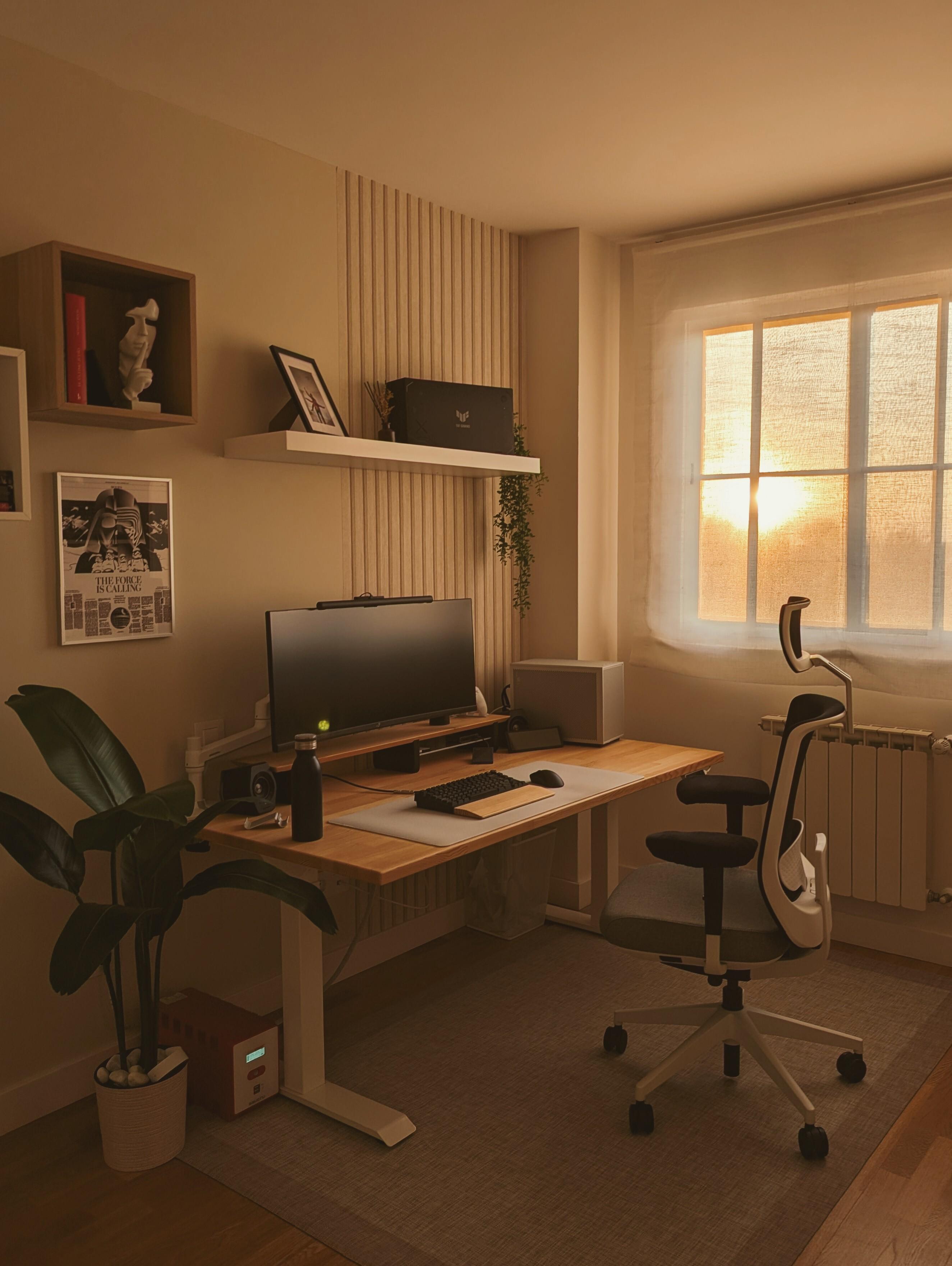 A cream room at sunset with an ultrawide monitor on a wooden desk, a slatted panel and a floating shelf behind it, a white framed chair, a tall plant, and the sun low in the window.