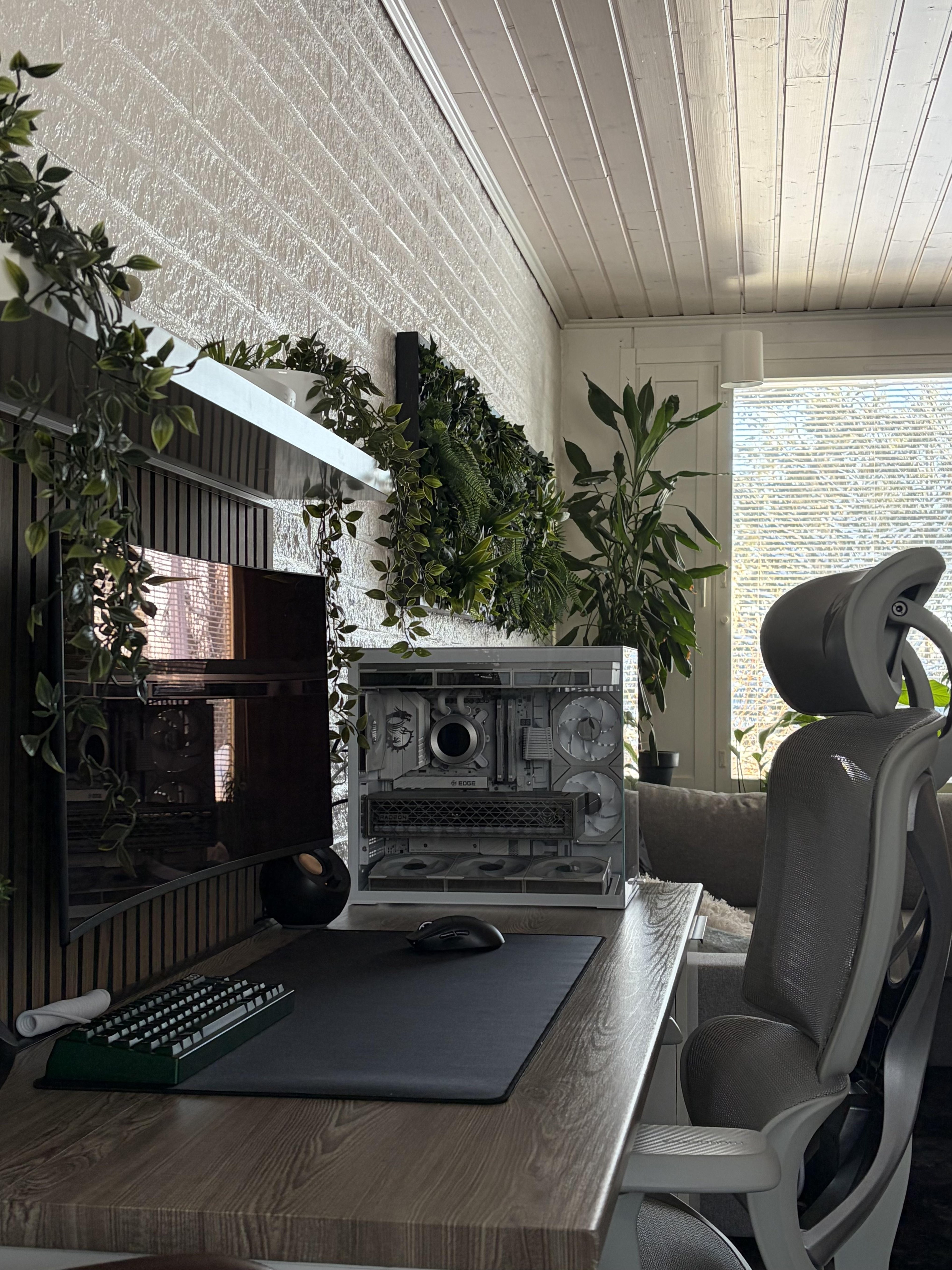 A corner desk of pale wood against a white brick wall under a planked ceiling, with trailing vines down a black slat panel behind a curved screen, a block of ferns on the wall, a white computer standing on the desk and a grey mesh chair.